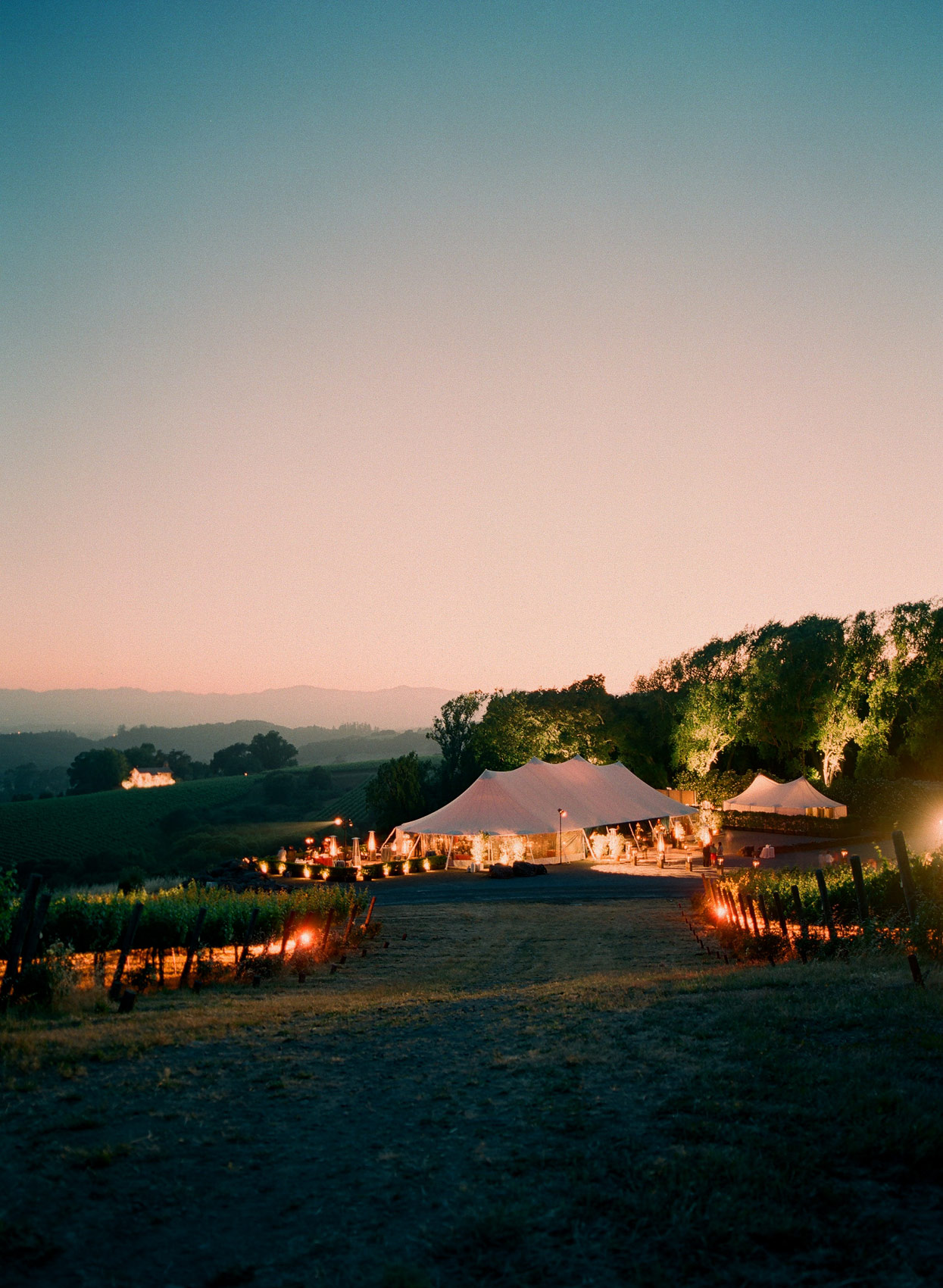 lefkowitzwedding-27